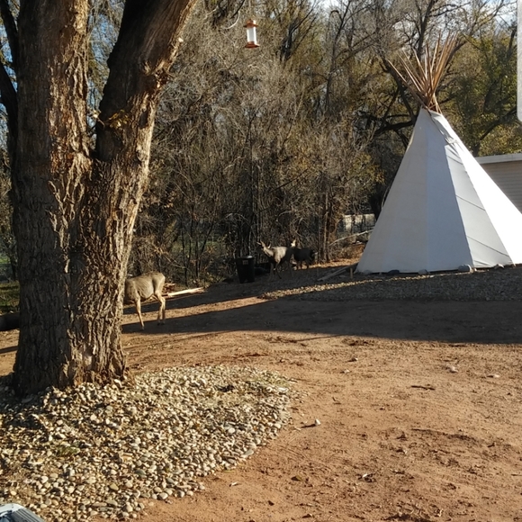 16' Teepee (America's first mobile home!) - Picture 6 of 6